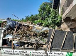 Best Shed Removal  in Vander, NC